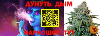 шишки Севастополь